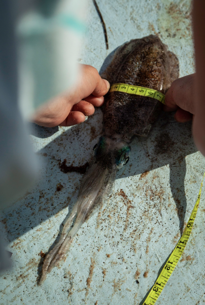 Photo from a Love The Oceans expedition