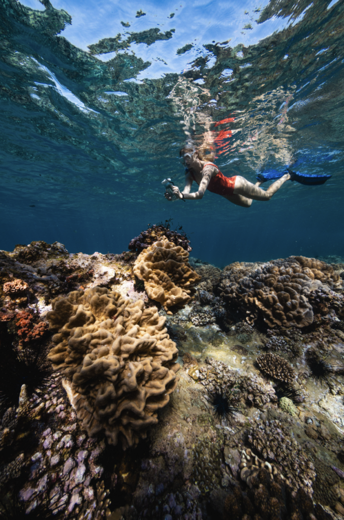 Photo from a Love The Oceans expedition