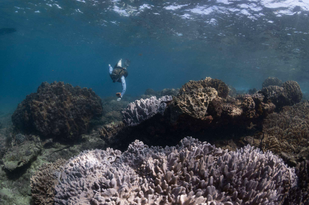 Photo from a Love The Oceans expedition