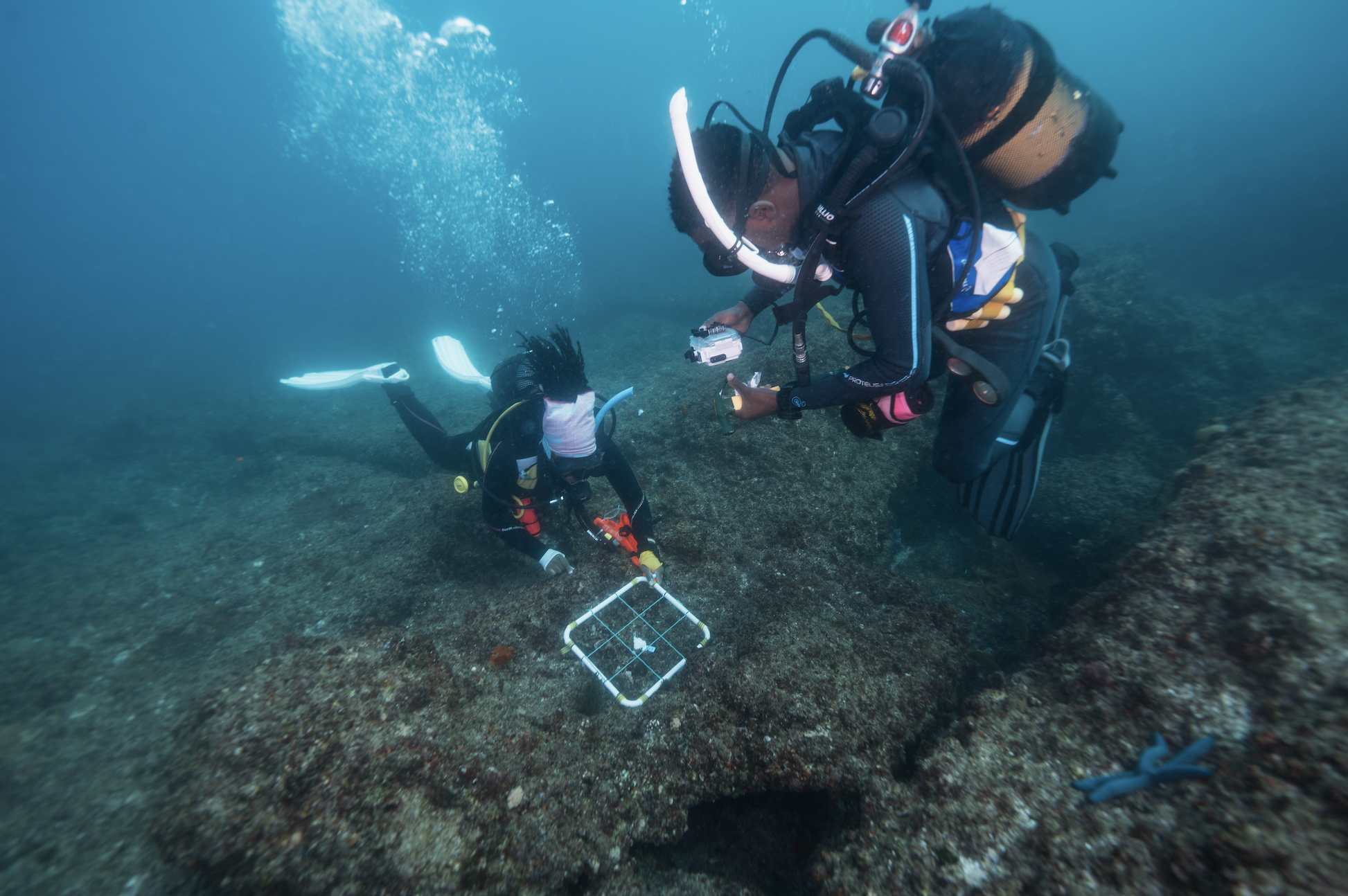 Researchers surveying a coral reef in Jangamo Bay