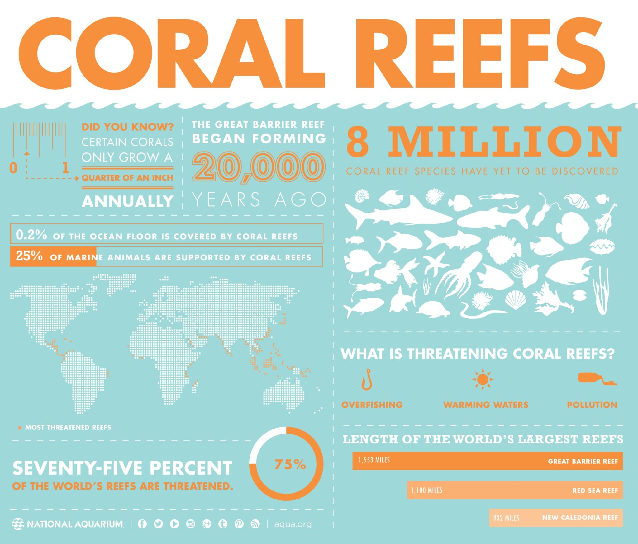 INFOGRAPHIC-Coral Reefs